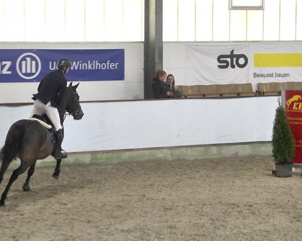 Hallenspringturnier Karlsfeld 2022