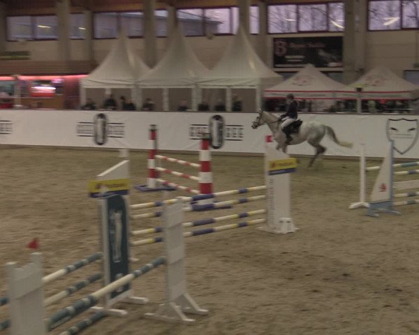 Ponycup Prussendorf 2022