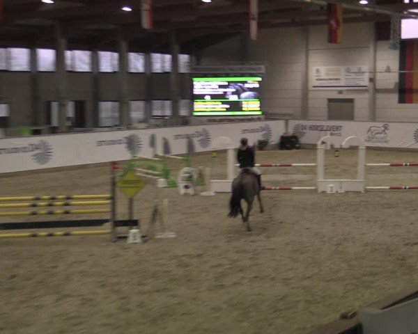 Ponycup Prussendorf 2022