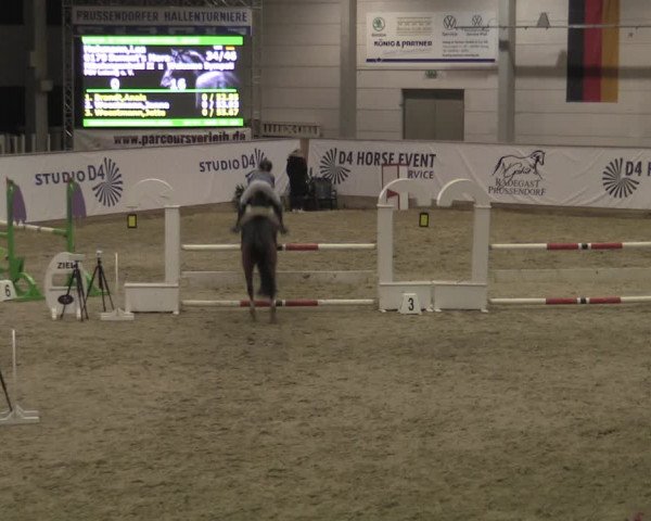 Ponycup Prussendorf 2022