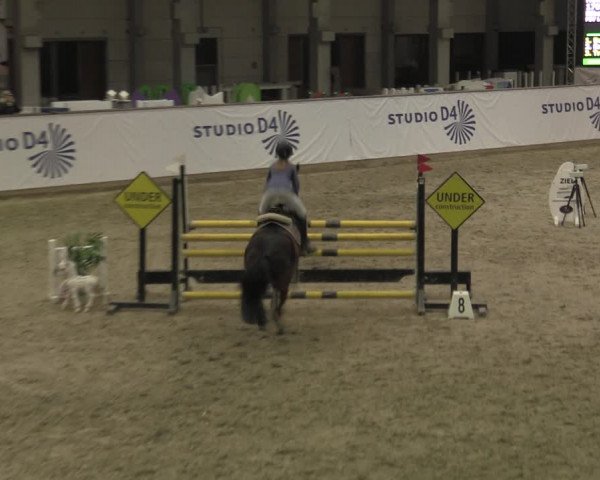Ponycup Prussendorf 2022
