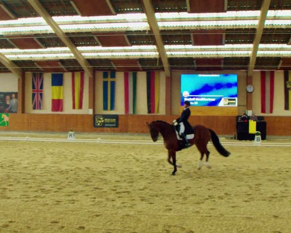 Dressurturnier Weikersdorf am Steinfelde 2022
