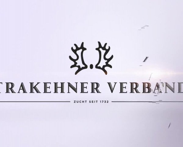 Video of Graf von Stauffenberg