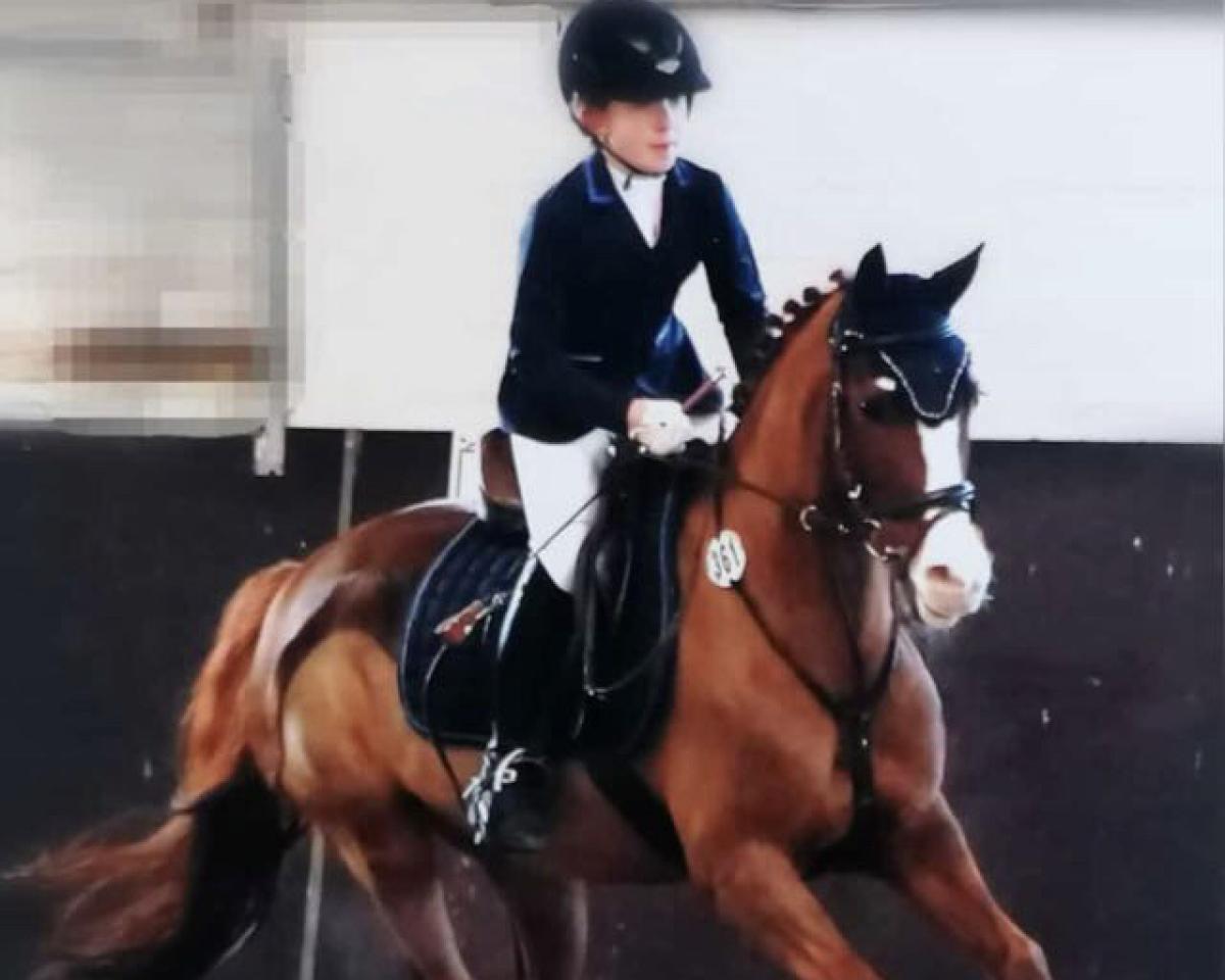 Drezurní kůň Namibia 10 (Německý jezdecký poník, 2006, od Halifax)