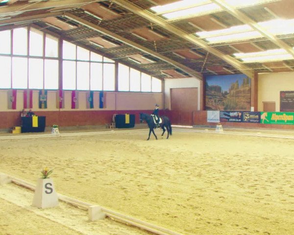 Dressurturnier Weikersdorf am Steinfelde 2022