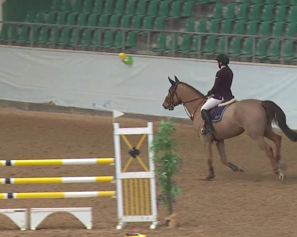 Reitturnier Kreuth 2022