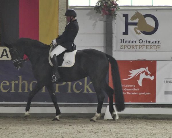 Reitturnier Karlsfeld 2022