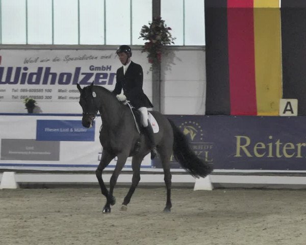Reitturnier Karlsfeld 2022