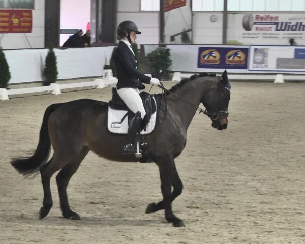 Reitturnier Karlsfeld 2022