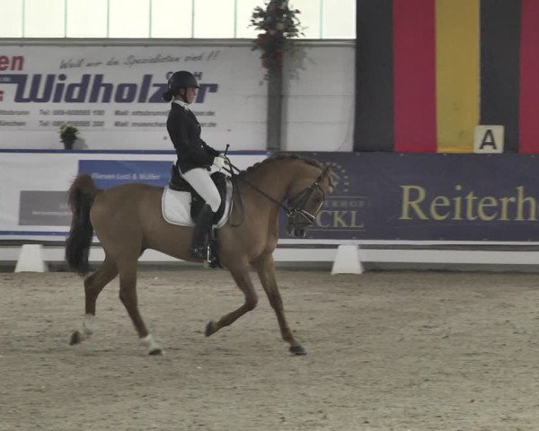 Reitturnier Karlsfeld 2022