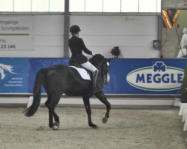 Reitturnier Karlsfeld 2022