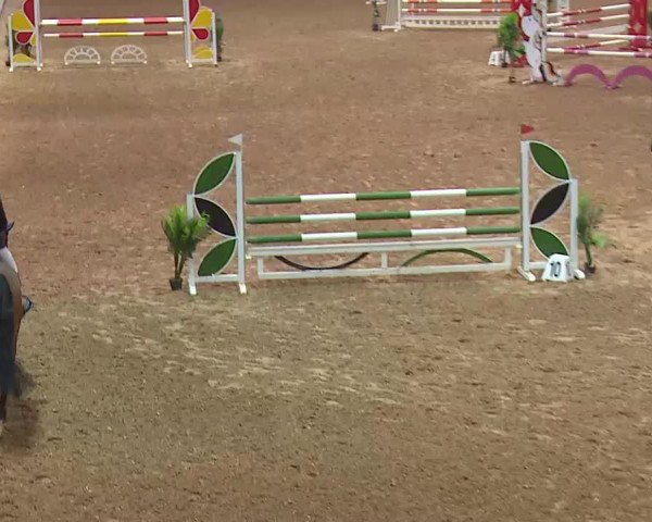 Reitturnier Kreuth 2022