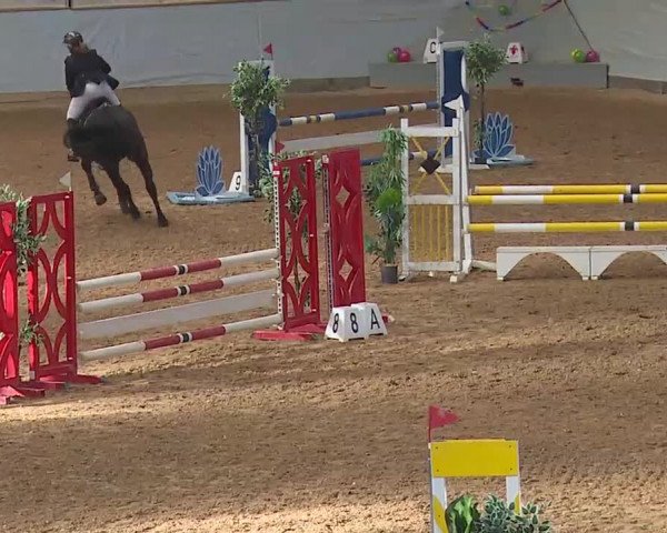 Reitturnier Kreuth 2022
