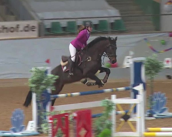 Reitturnier Kreuth 2022