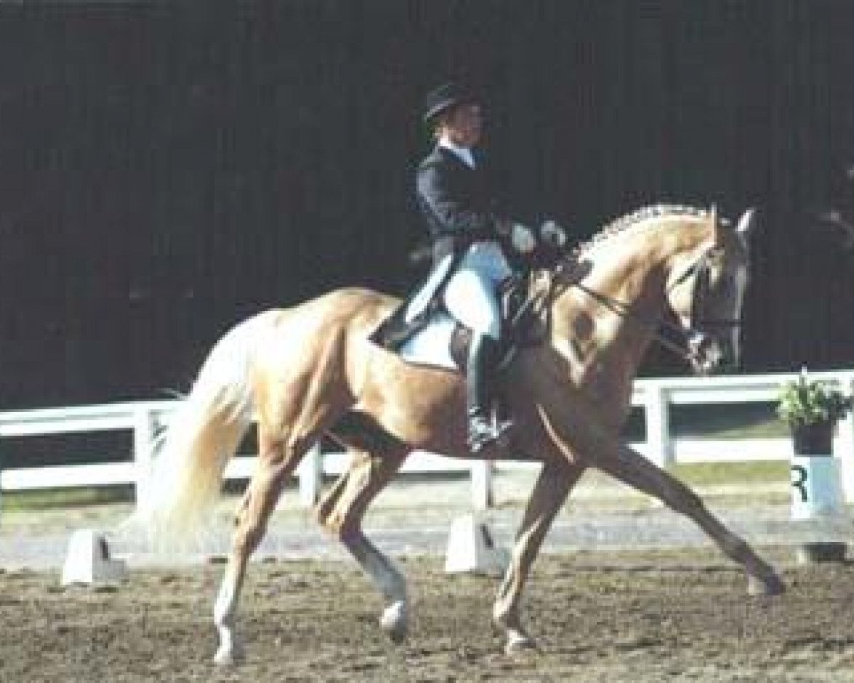 stallion Glitter Please xx (Thoroughbred, 1982, from Jack Sprat xx)