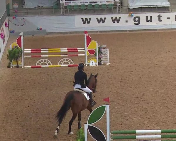 Reitturnier Kreuth 2022