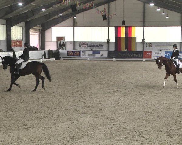 Reitturnier Karlsfeld 2022