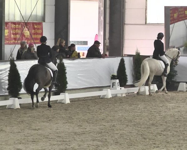 Reitturnier Karlsfeld 2022