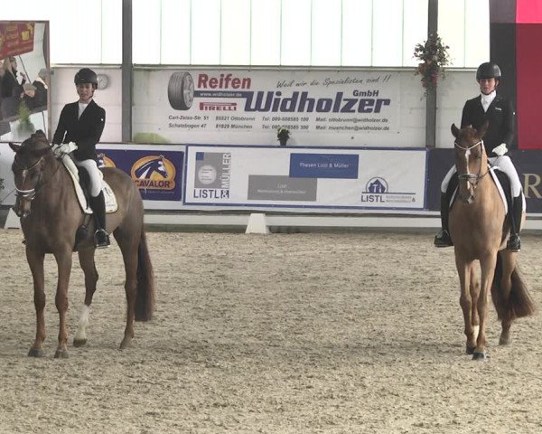 Reitturnier Karlsfeld 2022