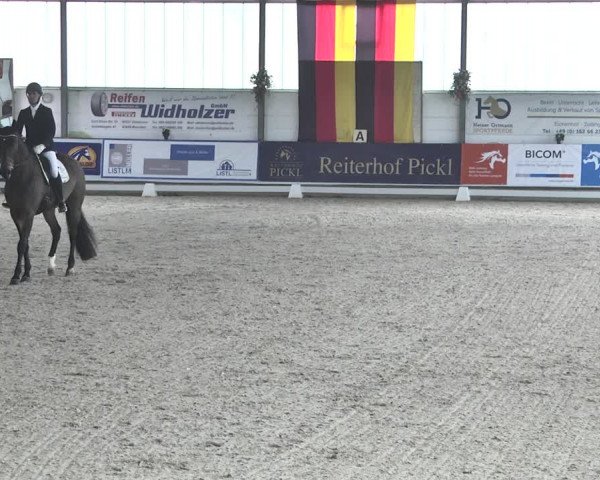 Reitturnier Karlsfeld 2022