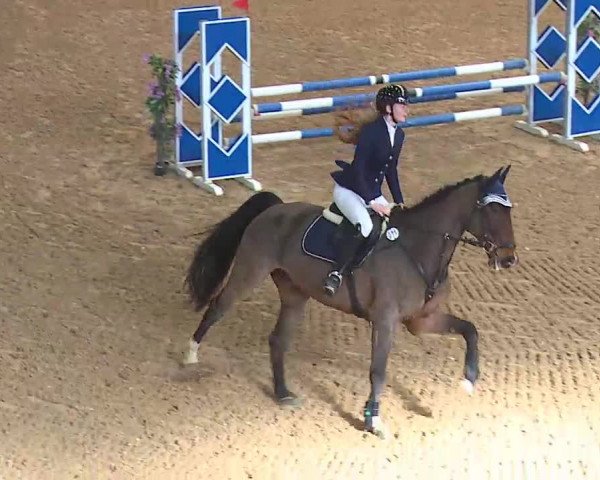 Reitturnier Kreuth 2022