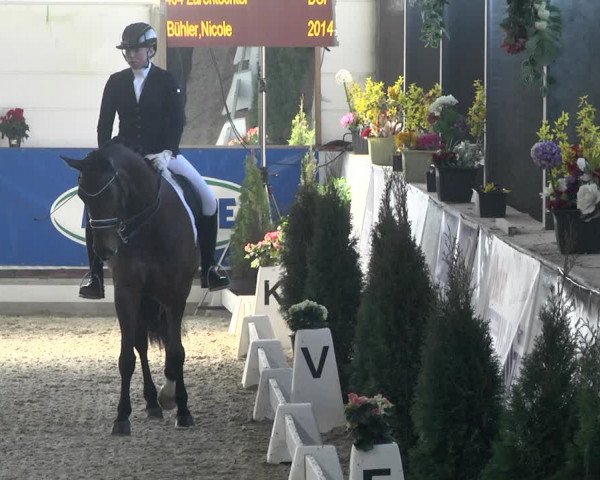 Reitturnier Karlsfeld 2022