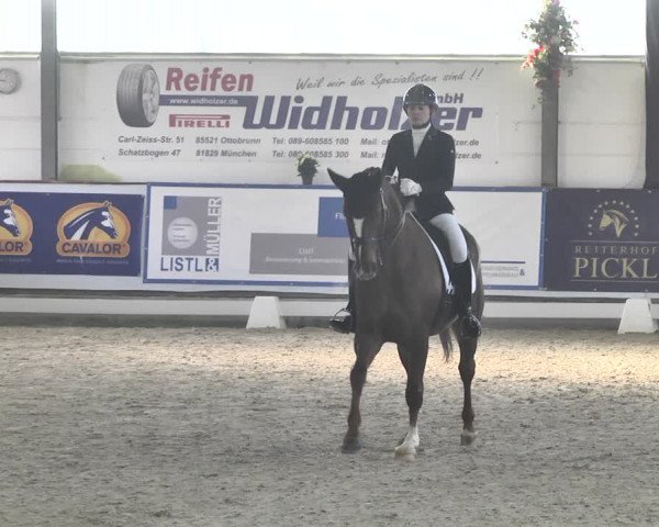 Reitturnier Karlsfeld 2022