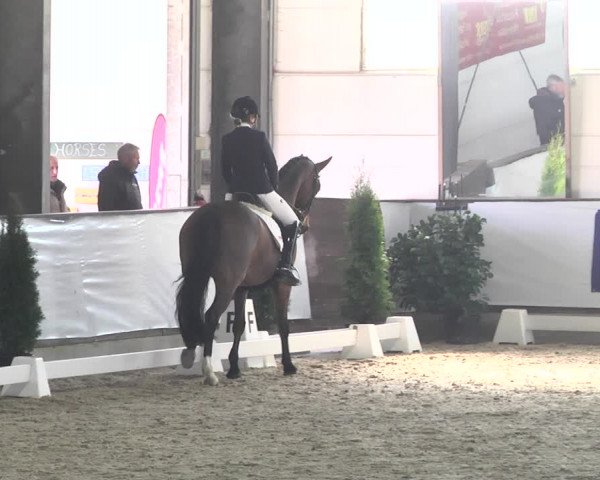 Reitturnier Karlsfeld 2022