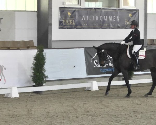 Reitturnier Karlsfeld 2022