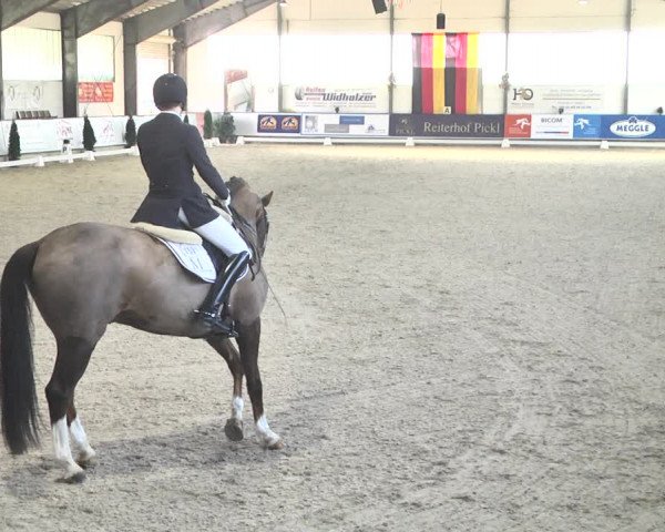 Reitturnier Karlsfeld 2022