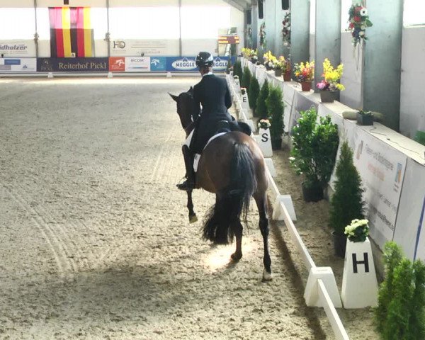 Reitturnier Karlsfeld 2022