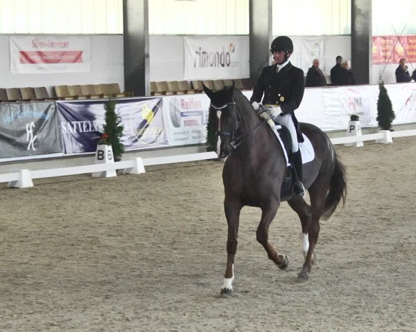 Reitturnier Karlsfeld 2022