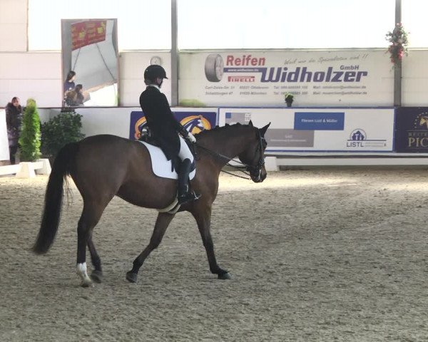 Reitturnier Karlsfeld 2022
