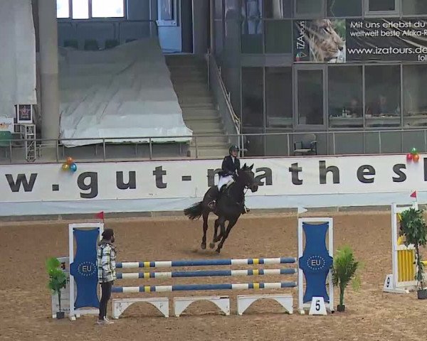 Reitturnier Kreuth 2022