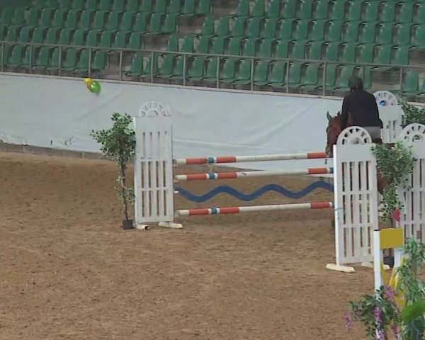 Reitturnier Kreuth 2022