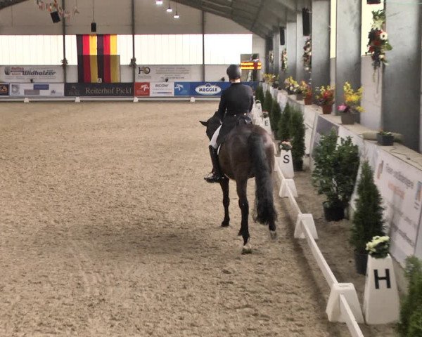 Reitturnier Karlsfeld 2022