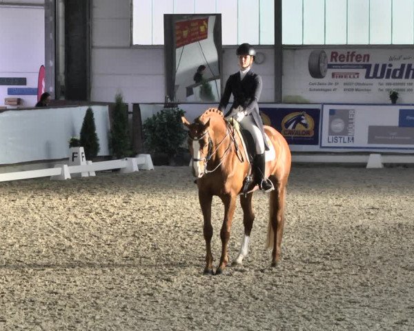 Reitturnier Karlsfeld 2022