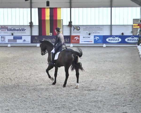 Reitturnier Karlsfeld 2022