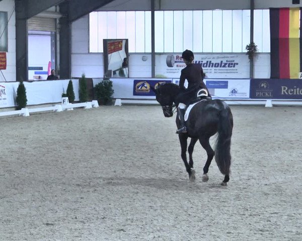 Reitturnier Karlsfeld 2022