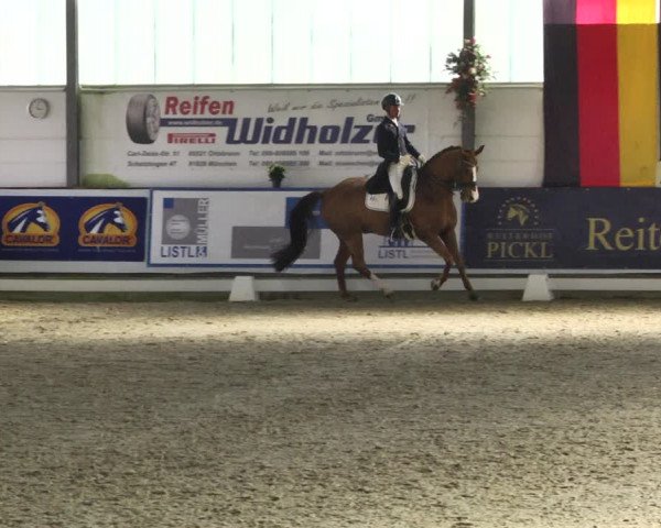 Reitturnier Karlsfeld 2022
