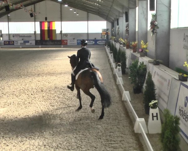 Reitturnier Karlsfeld 2022