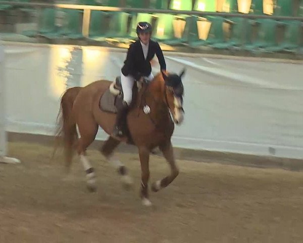 Reitturnier Kreuth 2022