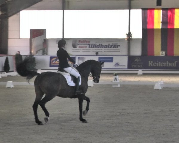 Reitturnier Karlsfeld 2022