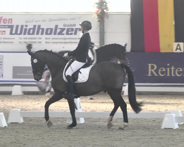 Reitturnier Karlsfeld 2022