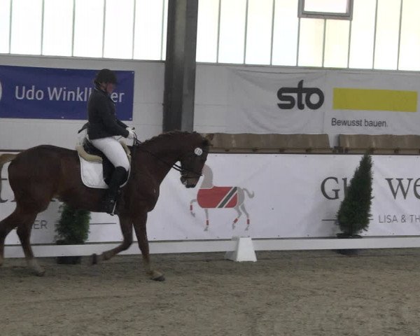 Reitturnier Karlsfeld 2022
