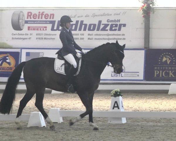 Reitturnier Karlsfeld 2022