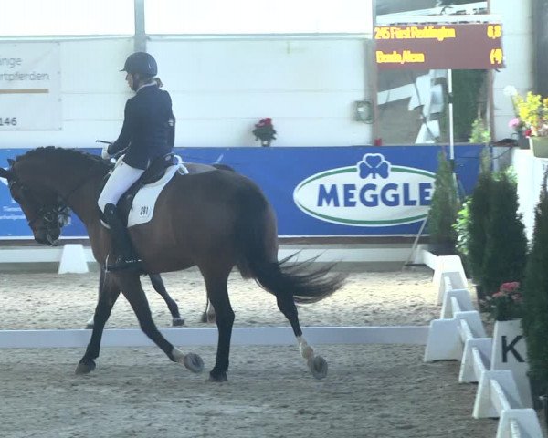 Reitturnier Karlsfeld 2022