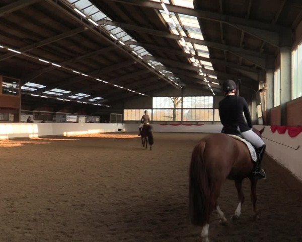 Reitturnier Greven 2022