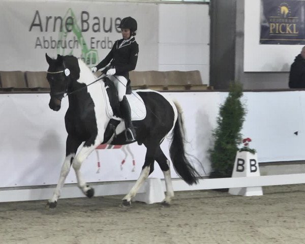 Reitturnier Karlsfeld 2022