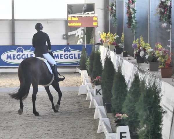 Reitturnier Karlsfeld 2022